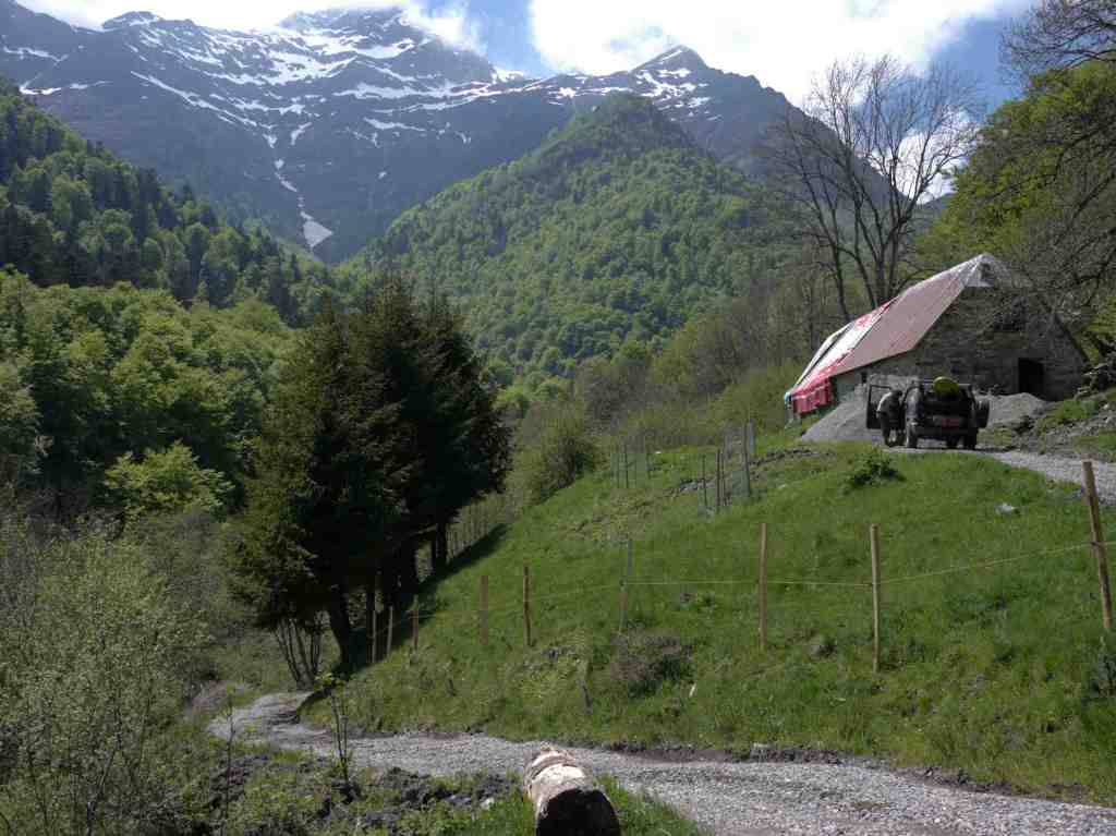 Restauration du chemin&nbsp;d&rsquo;accès