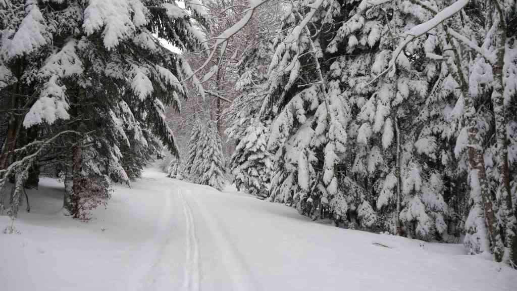 De retour après deux mois d&rsquo;absence,  je retrouve  la vallée, c&rsquo;est doux, un parfait silence, quelques rares traces d&rsquo;animaux, pureté&nbsp;….