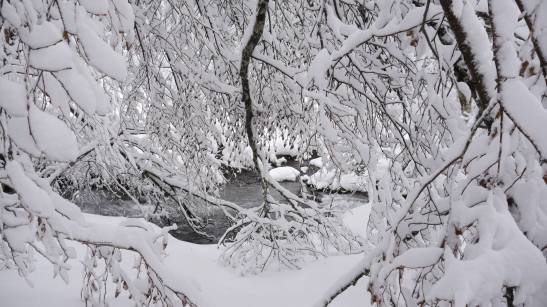 Sous la neige8