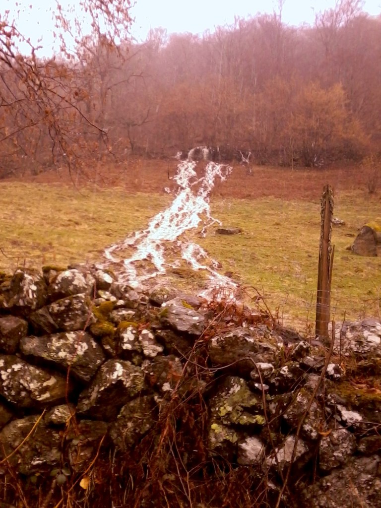 ru-hors-lit