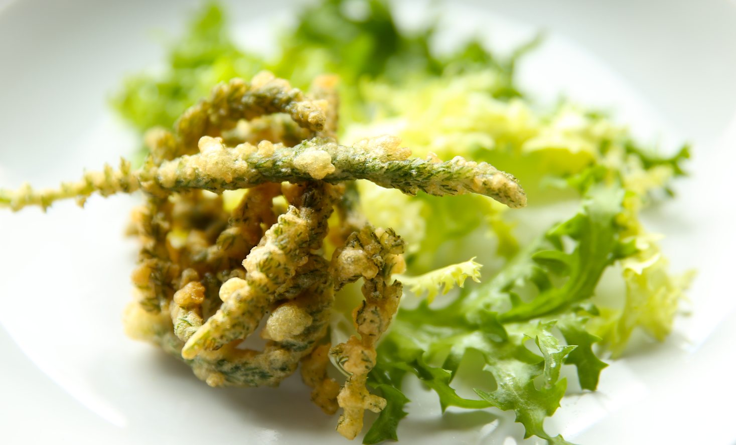 tempura d'achillée millefeuille