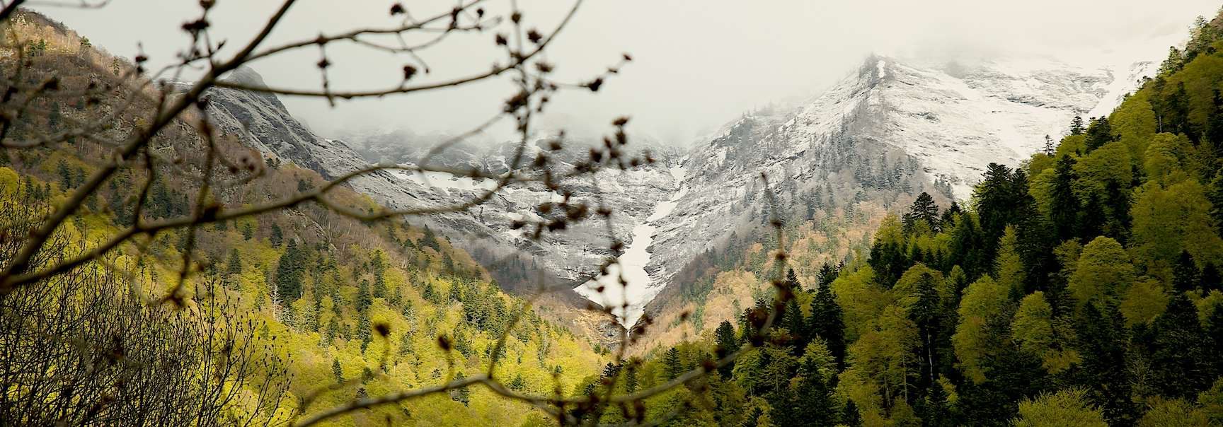 cecc81recc81tou-e1464689342380