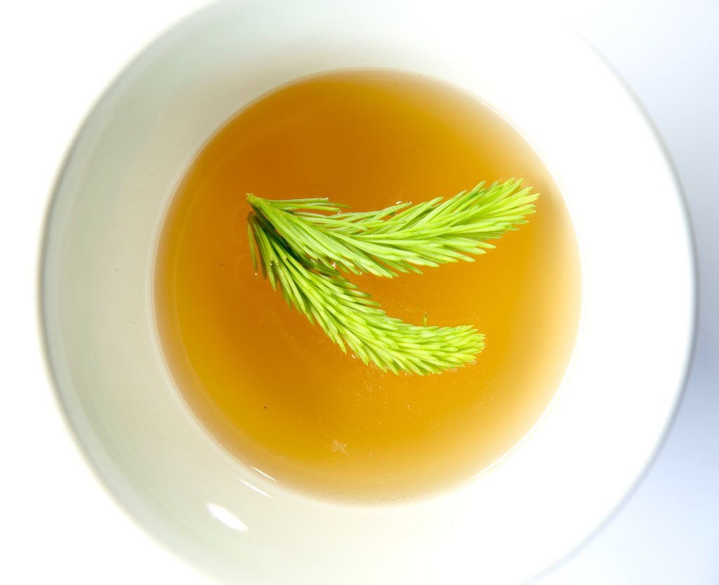 gelée d&rsquo;épicéa