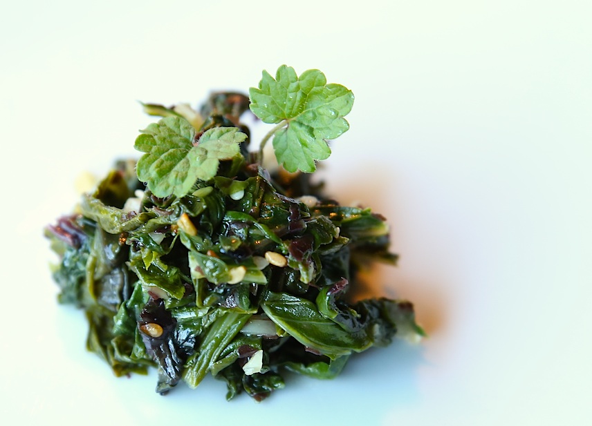 poiree lierre terrestre