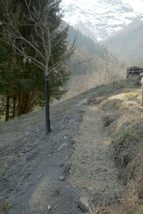 tranchéAmontPommier