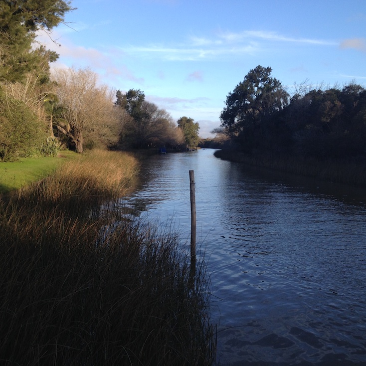 avril 2013 et janvier 2015 : Daniela Trajtenberg, artiste interdisciplinaire