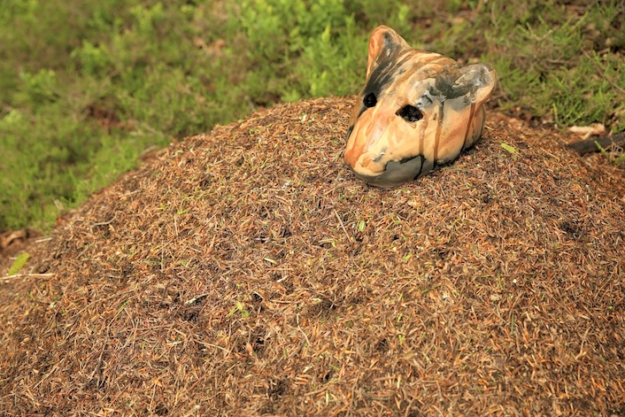Résidence d&rsquo;artiste : Bertrand&nbsp;Secret