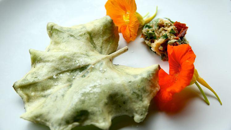 Stages de cueillette et cuisine sauvages&nbsp;2022